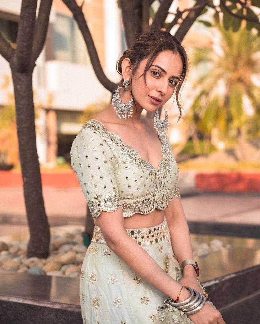 Mulberry Mirror Zari Work Lehenga for Festive Occasions - MYLUXURY LANE ENTERPRISE